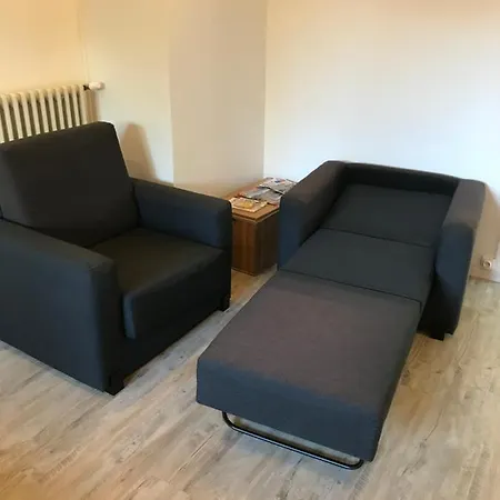 Au Parfait, T2 Rdc, Frais, Jardin, Calme, Parking, Idéalement Placé Issoire