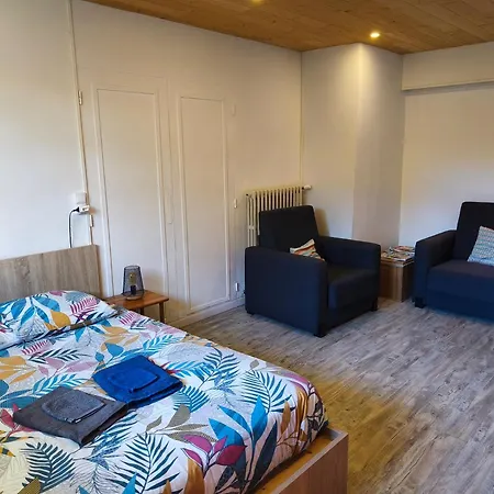 T2 en Rdc sans marche, calme, parking, idéalement placé Appartement Issoire